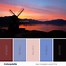 Image result for Windmill Colors
