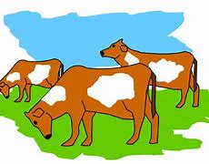 Image result for Herd Cartoon