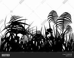Image result for Jungle Vine Silhouette
