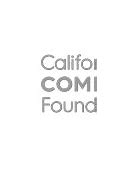 Image result for Calfund LLC Logo