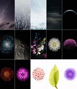 Image result for MacBook M1 Wallpaper