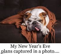 Image result for Happy New Year 2019 Dog Meme