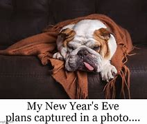Image result for New Year's Eve Dog Meme