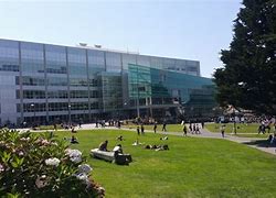 Image result for San Francisco State University