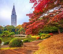 Image result for Best Autumn Tokyo