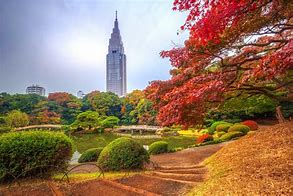 Image result for Tokyo University Autumn