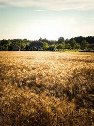 Image result for Farms