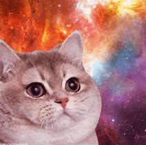 Image result for Purple Galaxy Cat GIF