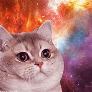 Image result for Cat Galaxy Meme GIF
