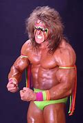 Image result for WWF Golden Era