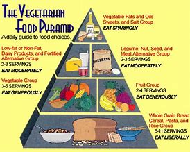 Image result for Vegetarian Food Pyramid in Hindi