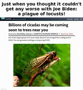 Image result for Locust Memes