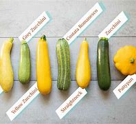 Image result for Different Summer Squash