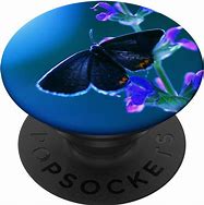 Image result for Blue Butterfly Pop Socket