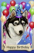 Image result for Sibraian Husky Happy Birthday