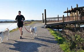 Image result for Male Jogger