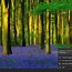 Image result for 10 Best of Bing Wallpaper Window Desktop