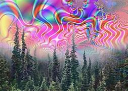 Image result for Ascended Meme LSD
