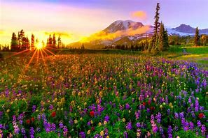 Image result for Imagenes De Primavera Un Paisaje