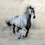 Image result for Charcoal Horse Drawing