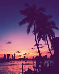 Image result for Miami Beach Phone Wallpaper