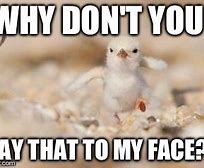 Image result for Cute Baby Chick Memes