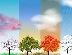 Image result for Why Do We Have Four Seasons