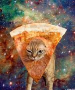 Image result for Galaxy Cat Meme