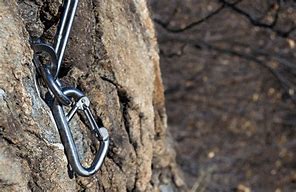 Image result for Bolt Climbing