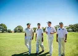 Image result for Cricket Equip Me Picture