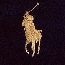 Image result for Polo Logo