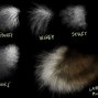 Image result for Photoshop Fur Brush Set