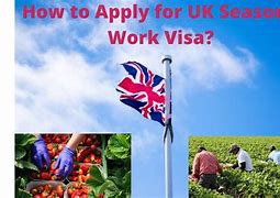 Image result for UK Seasonal Work Visa
