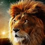Image result for Lion Wallpaper 1080P