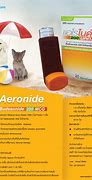 Image result for aerodin�micl