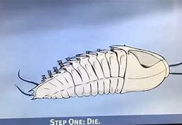 Image result for Step 1 Die Meme