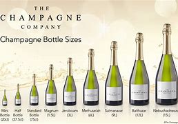 Image result for 30 Litre Bottle of Champagne