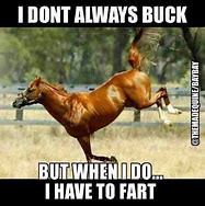 Image result for Bucking Horse Meme