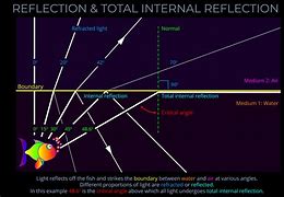 Image result for Total Internal Reflection Diagram