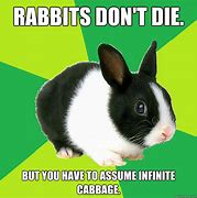 Image result for Rabbit Saying No Meme