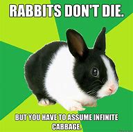Image result for Crazy Rabbit Meme