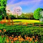 Image result for Summer Nature Photography