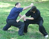Image result for Southern Kung Fu
