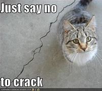 Image result for Say No to Crack Meme