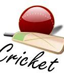 Image result for Cricket Bat Ball Vector