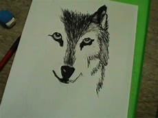 desenho de lobos desenhos das meninas mori como desenhar um lobo de frente desenho de lobos desenhos das meninas mori como desenhar um lobo de frente