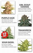 Image result for Topical Weed