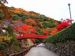 Image result for Osaka Autumn