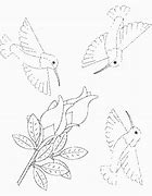 Image result for Chirping Bird Coloring Pages