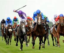 Image result for Horse Racing Photography